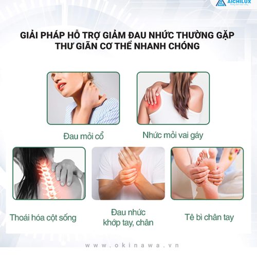 MÁY MASSAGE BẤM HUYỆT OKINAWA OS – 02